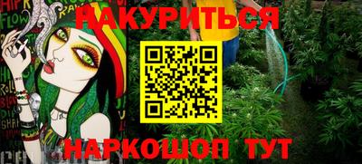 гашик Новокубанск