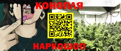 гашик Новокубанск